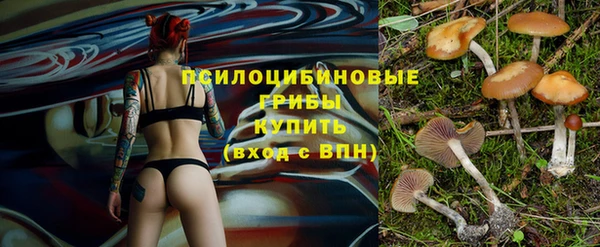 спайс Медногорск