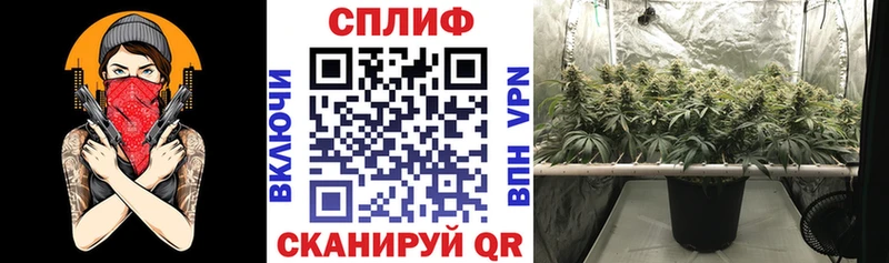 Марихуана AK-47 Удачный